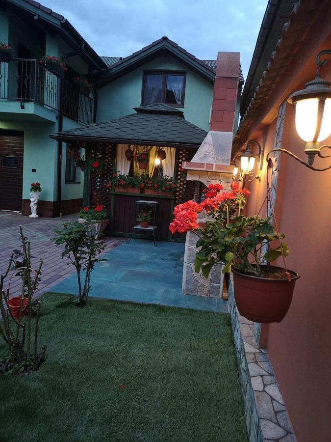 Casa Cizi Hotel Calimanesti Exterior photo