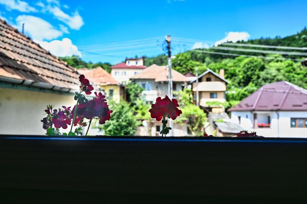 Casa Cizi Hotel Calimanesti Exterior photo